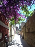 IMAG0505