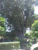 IMAG0510