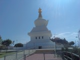 IMAG0614