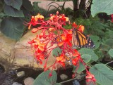 IMAG0639
