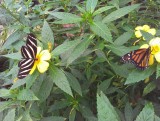 IMAG0644