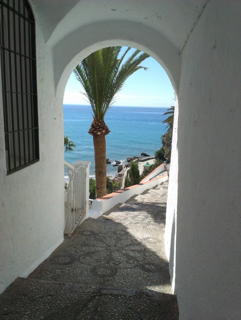 IMAG0680