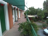 IMAG0687
