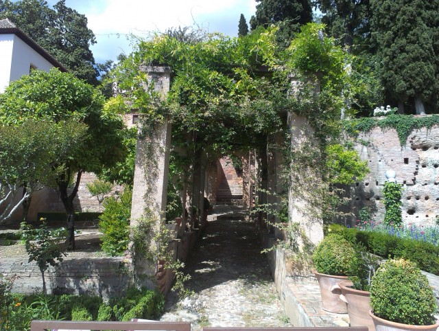 IMAG0737