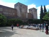 IMAG0749