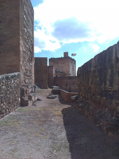 IMAG0752