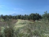 IMAG0830
