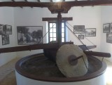 IMAG0835