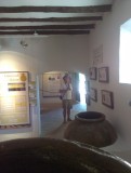 IMAG0838