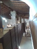 IMAG0845