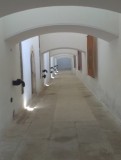 IMAG0847