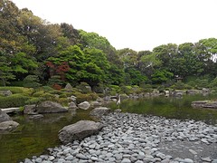 Japanse tuin, reiger