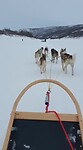 Husky's