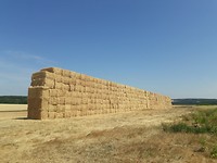 20190717_120040