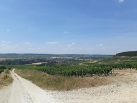 20190717_133754