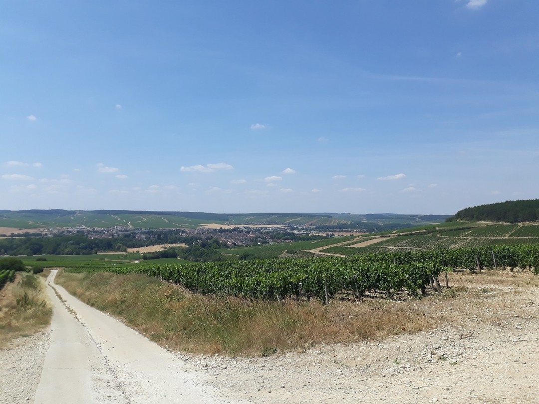 20190717_133754
