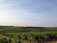 IMG_2659