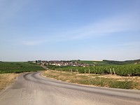 IMG_2660