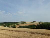 20190718_100859