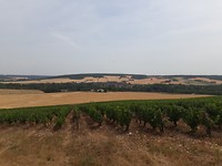 20190718_150826