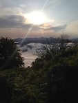 IMG_3257