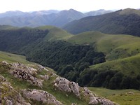 IMG_3287