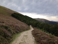IMG_3346