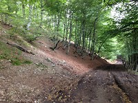 IMG_3348