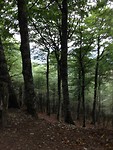 IMG_3349