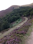 IMG_3350