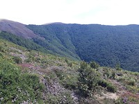 20190826_130941
