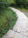 IMG_3382