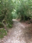 IMG_3383