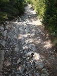 IMG_3388