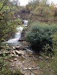 IMG_3396