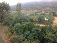 IMG_3417