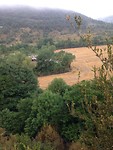 IMG_3421
