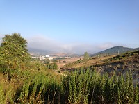 IMG_3431