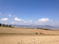 IMG_3441