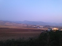 IMG_3445