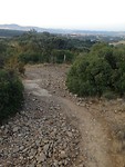 IMG_3455