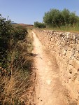 IMG_3498