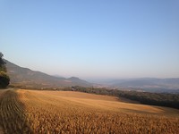 IMG_3527