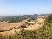 IMG_3537