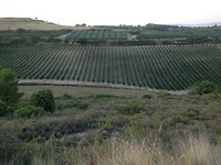IMG_3568
