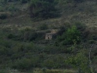 IMG_3573