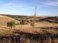 IMG_3682