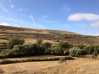 IMG_3686