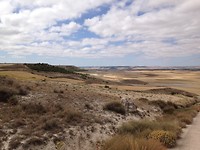 IMG_3723