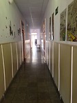 IMG_3737